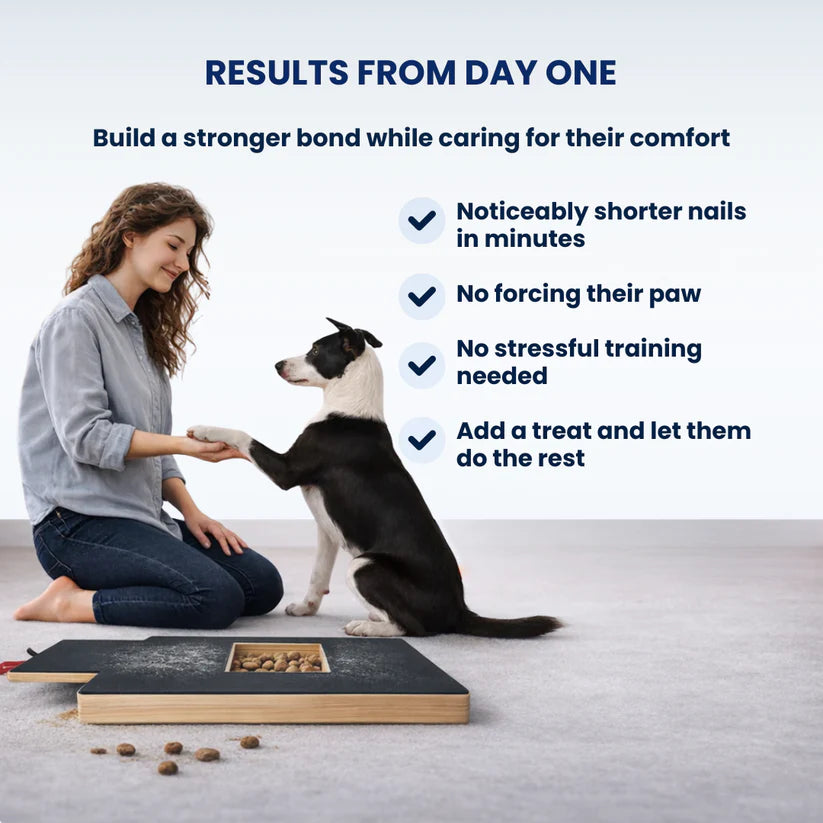 CalmPaw™ Nail Filing Board