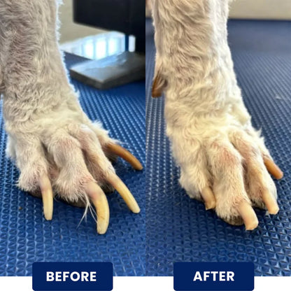 CalmPaw™ Nail Filing Board